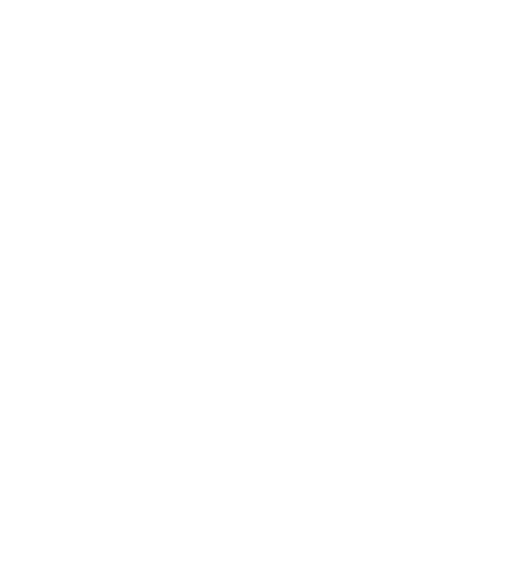 STARLINK dimension 2